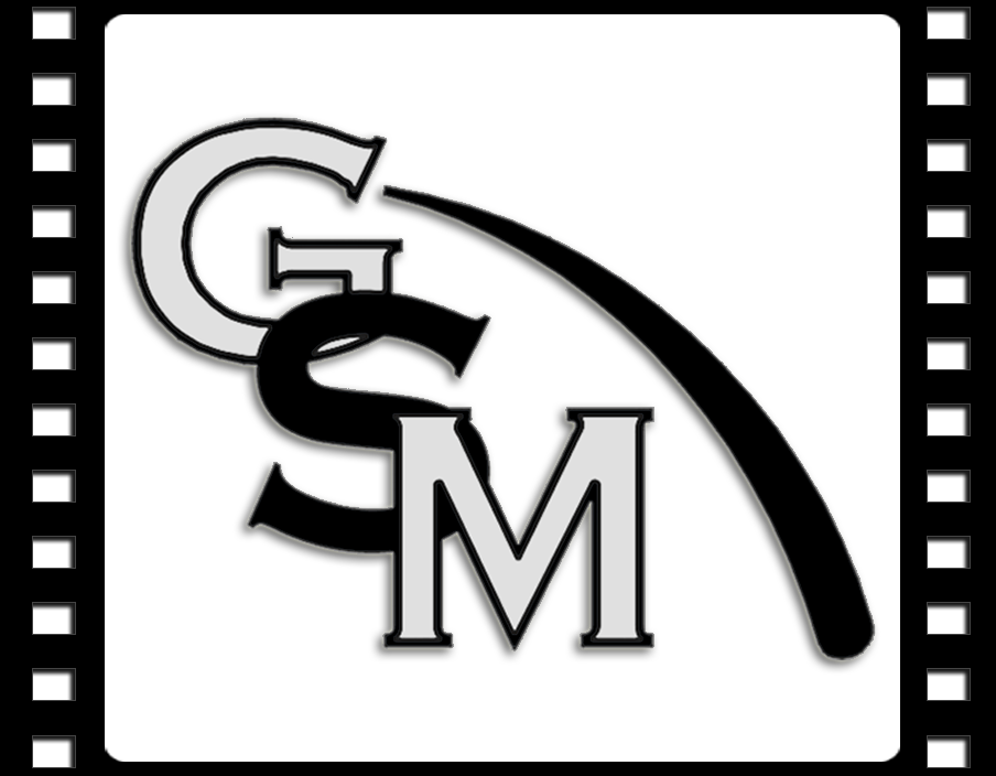 Logo Gina Stoj Agency